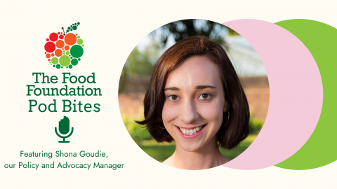 Food Insecurity Tracking | Food Foundation